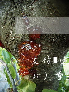 支付寶逾期一兩天嚴(yán)不嚴(yán)重(支付寶逾期兩百多天)