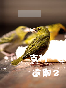 支付寶逾期一兩天會不會有征信記錄（支付寶逾期2個月會上征信嗎）