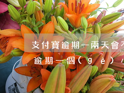 支付寶逾期一兩天會不會有征信記錄（支付寶逾期一個(gè)小時(shí)才還款上征信）
