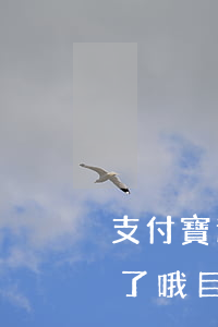 支付寶逾期一千九(支付寶逾期9萬多半年多了,哦目前還不起)