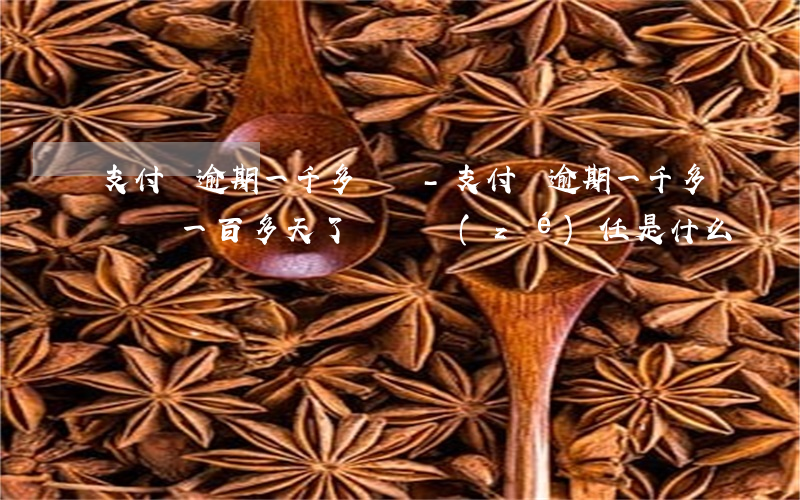 支付寶逾期一千多塊錢-支付寶逾期一千多塊錢一百多天了違約責(zé)任是什么