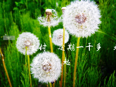 支付寶逾期一千多會起訴么(支付寶逾期一萬多久會起訴)