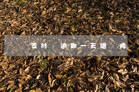 支付寶逾期一天借唄降額 支付寶最近借唄降額