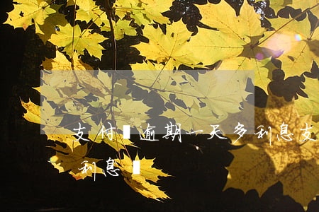 支付寶逾期一天多利息 支付寶逾期一天會有利息嗎