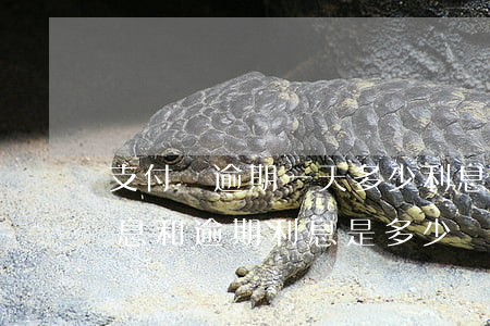 支付寶逾期一天多少利息多少(支付寶借款利息和逾期利息是多少)