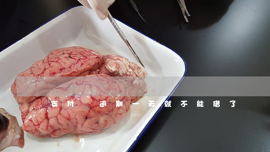 支付寶逾期一天就不能借了