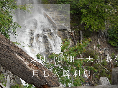支付寶逾期一天扣多少利息嗎(支付寶逾期一月怎么算利息)