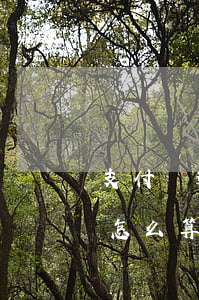 支付寶逾期一天扣多少利息(支付寶逾期一月怎么算利息)