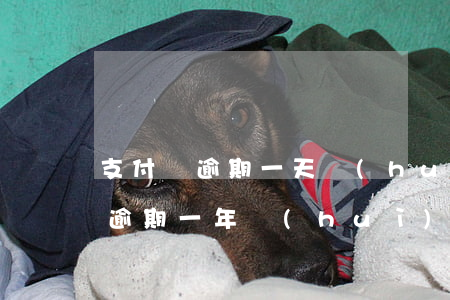 支付寶逾期一天會(huì)坐牢嗎(支付寶逾期一年會(huì)坐牢嗎)