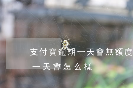 支付寶逾期一天會無額度嗎(支付寶額度逾期一天會怎么樣)