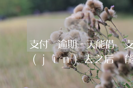 支付寶逾期一天能借嗎? 支付寶逾期2天還進(jìn)去之后還能不能借