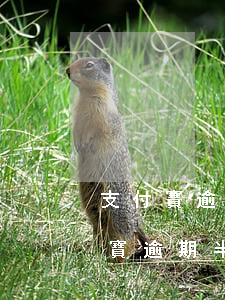 支付寶逾期一年了會(huì)起訴嗎(支付寶逾期半年還了大半會(huì)被起訴嗎?)