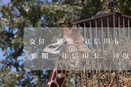 支付寶逾期一年信用卡還可以用嗎-支付寶逾期一年信用卡還可以用嗎安全嗎