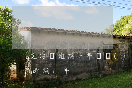 支付寶逾期一年凍結(jié)賬號(支付寶逾期1年)