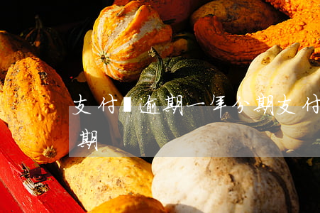 支付寶逾期一年分期(支付寶逾期二次分期逾期)