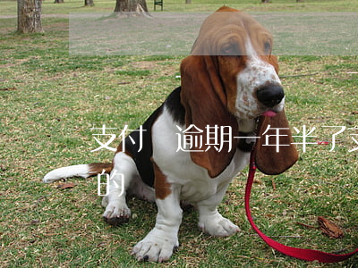 支付寶逾期一年半了(支付寶有沒有逾期一年的)