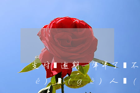 支付寶逾期一年半了會不會法院凍結(jié)個(gè)人財(cái)產(chǎn)（支付寶逾期要凍結(jié)財(cái)產(chǎn)嗎）