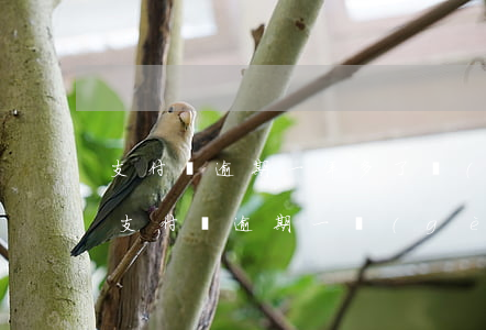支付寶逾期一年多了會(huì)上征信嗎(支付寶逾期一個(gè)月會(huì)影響征信嗎)