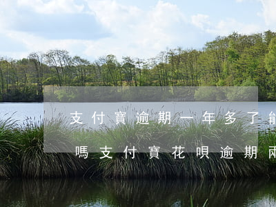 支付寶逾期一年多了能協(xié)商分期嗎(支付寶花唄逾期兩年可以協(xié)商分期還嗎)