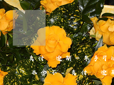 支付寶逾期一年多可以協(xié)商只還本金不-支付寶逾期一年多了,可以協(xié)商還款本金不