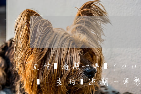 支付寶逾期一年對(duì)身份證有影響嗎-支付寶逾期一年影響征信嗎