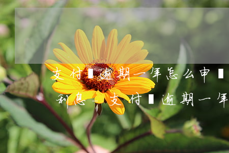 支付寶逾期一年怎么申請(qǐng)減免利息-支付寶逾期一年怎么申請(qǐng)減免利息的