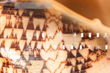 支付寶逾期一年會凍結其他賬戶嗎-支付寶逾期一年會凍結其他賬戶嗎安全嗎