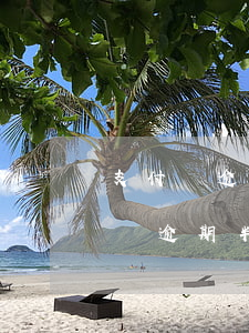 支付寶逾期一年沒(méi)被起訴-支付寶逾期半年會(huì)不會(huì)起訴