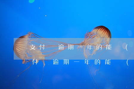 支付寶逾期一年的能協(xié)商嗎-支付寶逾期一年的能協(xié)商嗎