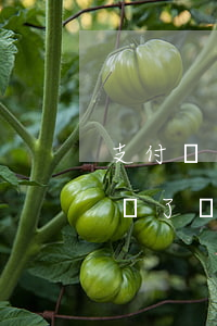 支付寶逾期一年被起訴(支付寶逾期一年被起訴了會凍結(jié)名下財產(chǎn)嗎?)