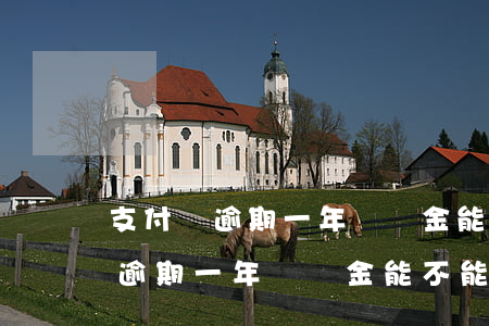 支付寶逾期一年違約金能不能減免-支付寶逾期一年違約金能不能減免呢