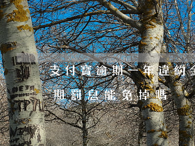 支付寶逾期一年違約金能不能減免(支付寶逾期罰息能免掉嗎)