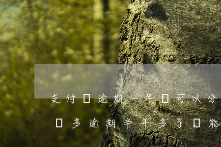 支付寶逾期一年還可以分期嗎(支付寶逾期2萬多,逾期半年多了,還能申請分期嗎)