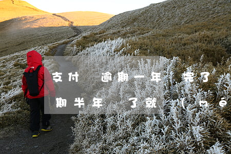 支付寶逾期一年還完了還能用嗎-支付寶逾期半年還了就沒(méi)事了嗎