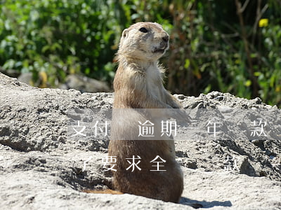 支付寶逾期一年還款額度(支付寶逾期半個月了要求全額還款)