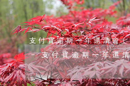支付寶逾期一年還清會(huì)有影響嗎-支付寶逾期一年還清會(huì)有影響嗎知乎