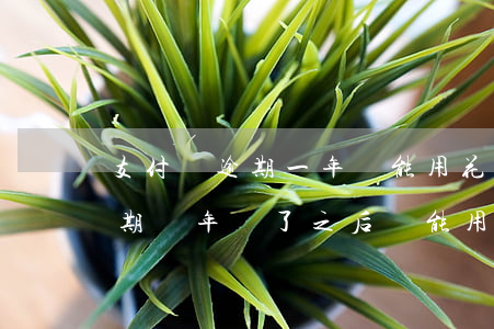 支付寶逾期一年還能用花唄嗎(支付寶花唄逾期兩年還了之后還能用嗎)