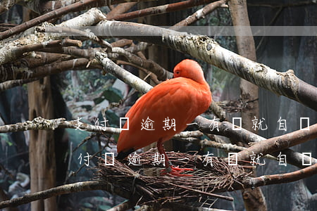 支付寶逾期一有錢就自動(dòng)扣(支付寶逾期一有錢就自動(dòng)扣可以追回來嗎)