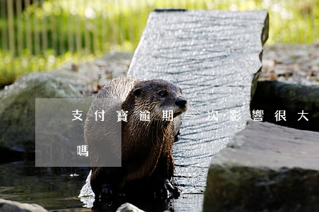 支付寶逾期一次影響很大嗎(支付寶逾期有事嗎)