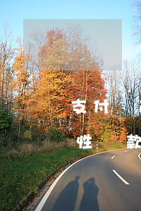 支付寶逾期一次性還款減免(支付寶逾期一次性還款減免)