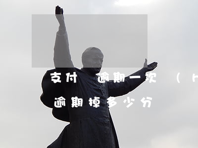 支付寶逾期一次會(huì)掉分嗎（支付寶逾期掉多少分）