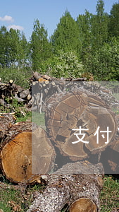 支付寶逾期一次芝麻分