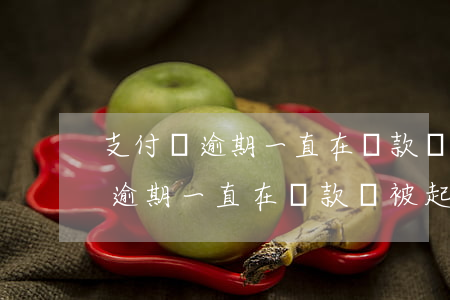 支付寶逾期一直在還款會被起訴嗎-支付寶逾期一直在還款會被起訴嗎知乎