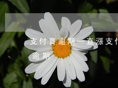 支付寶逾期一直漲(支付寶經(jīng)常逾期)