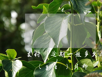 支付寶逾期一般多久爆通訊錄(支付寶逾期每個(gè)月都還會(huì)爆通訊錄嗎)
