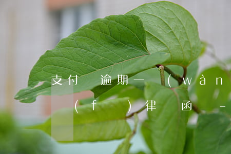 支付寶逾期一萬(wàn)五會(huì)發(fā)律師函嗎-支付寶逾期一萬(wàn)五會(huì)發(fā)律師函嗎是真的嗎