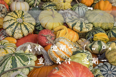 支付寶逾期一萬(wàn)后果嚴(yán)重嗎（支付寶逾期一萬(wàn)后果嚴(yán)重嗎）