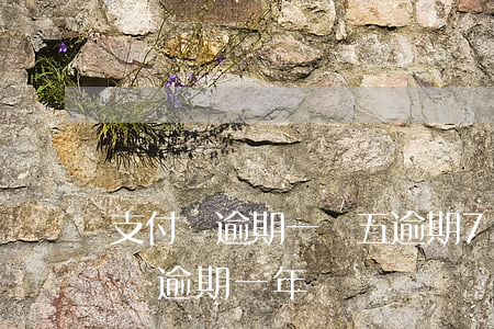 支付寶逾期一萬五逾期70天(支付寶逾期六萬逾期一年)