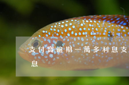 支付寶逾期一萬多利息(支付寶逾期一萬多利息)