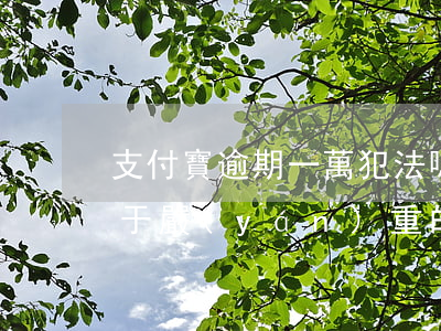 支付寶逾期一萬犯法嗎(支付寶逾期兩萬多屬于嚴(yán)重的嗎)